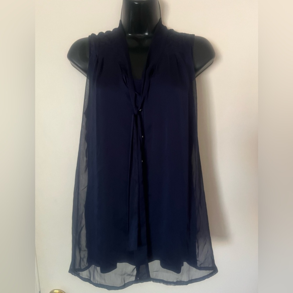 The Limited Dark Blue Sheer Blouse